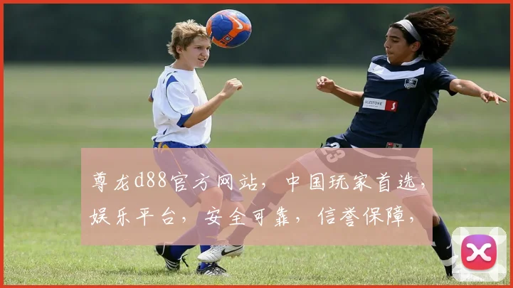 尊龙d88官方网站，中国玩家首选，娱乐平台，安全可靠，信誉保障，三重惊喜，尽在d88z6